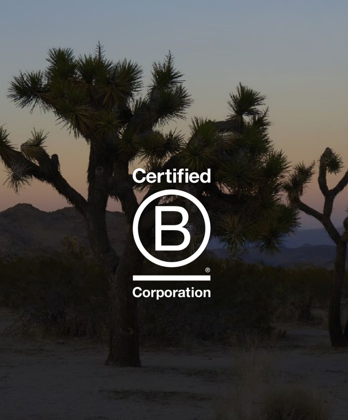 Athleta is a Certified B Corporation 